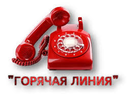 Номер горячей линии Отделения Пенсионного фонда РФ по КБР 8-800-600-01-84